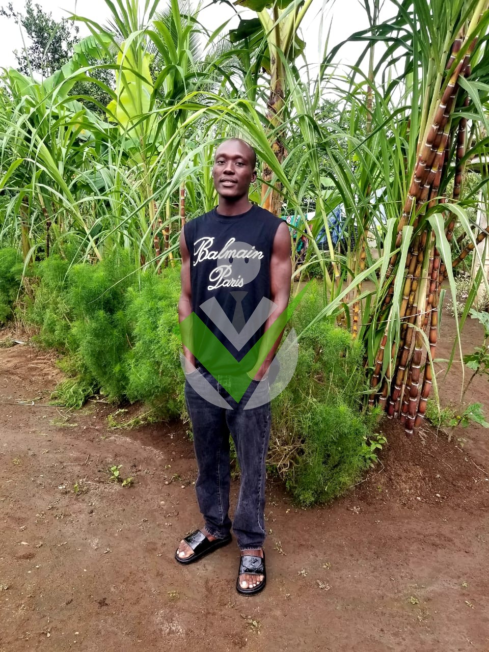 Edike Geraldo