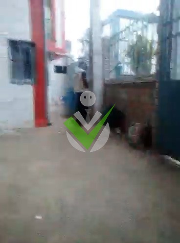 David Tetang