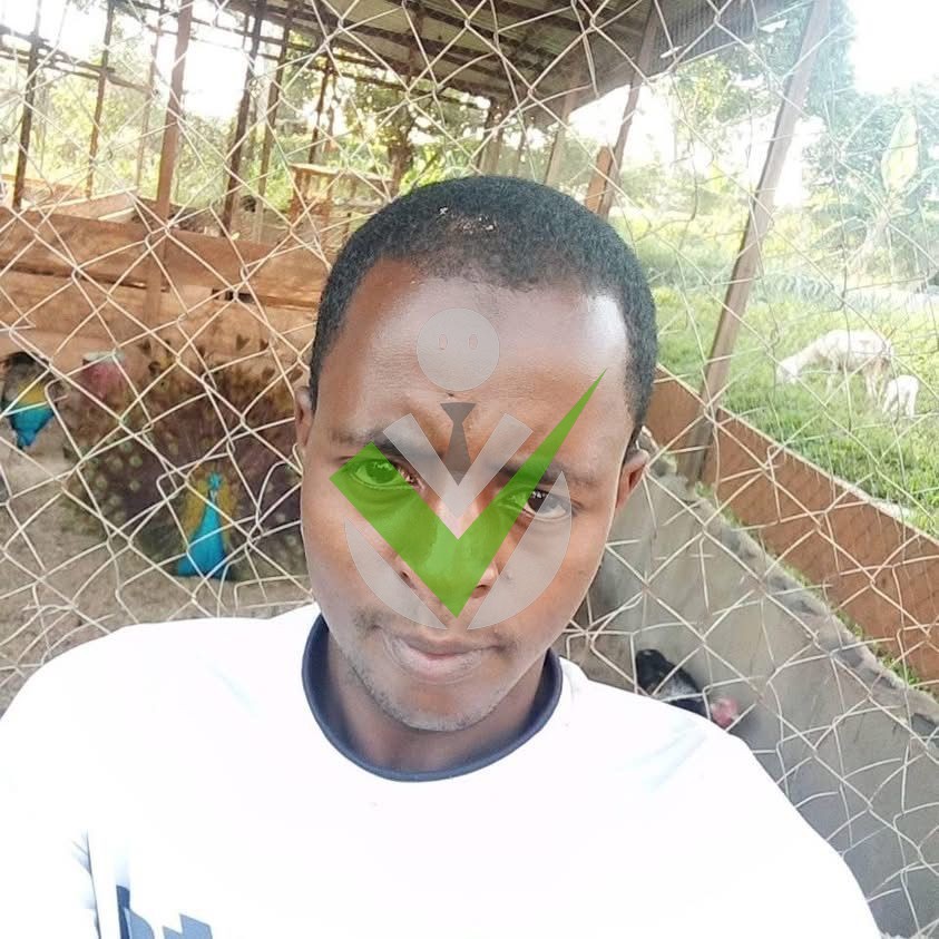 Ali Dauda