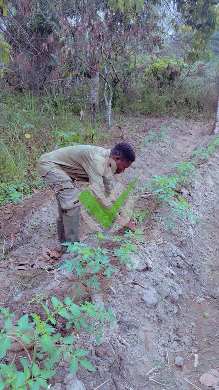 Patrick Ateba ze