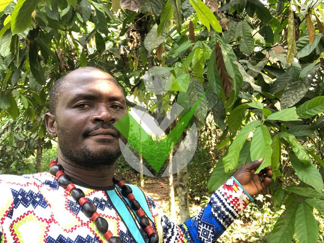 Mirabeau Mamadou Bana