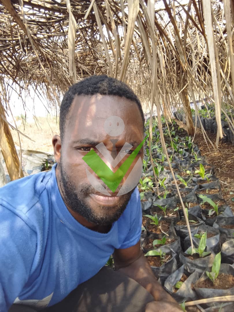 Valdo Nvon kamseu