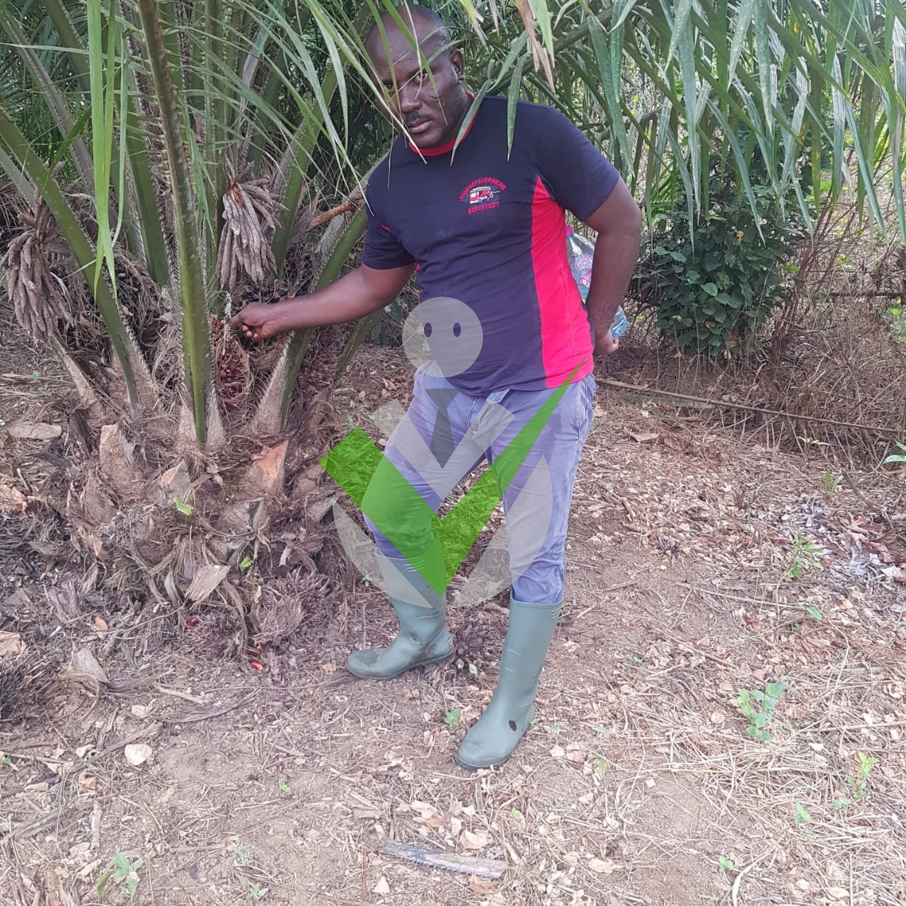 Nkongho Abel
