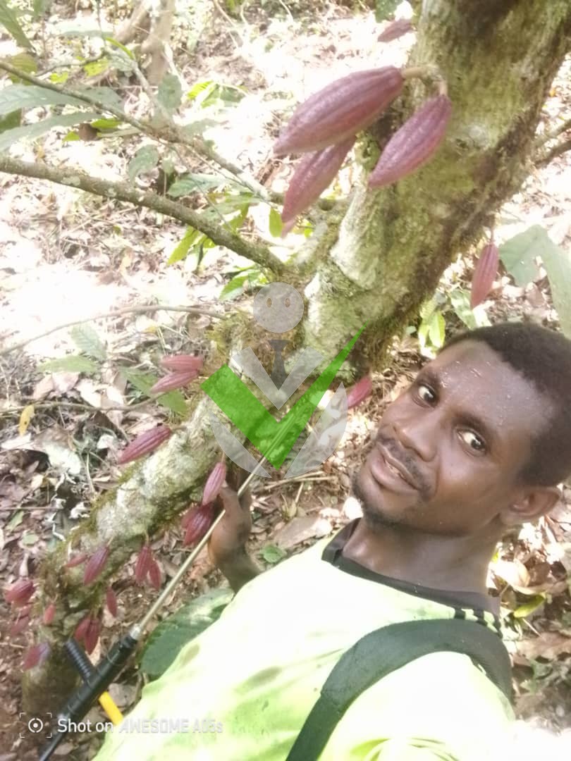 Eyakwe Money
