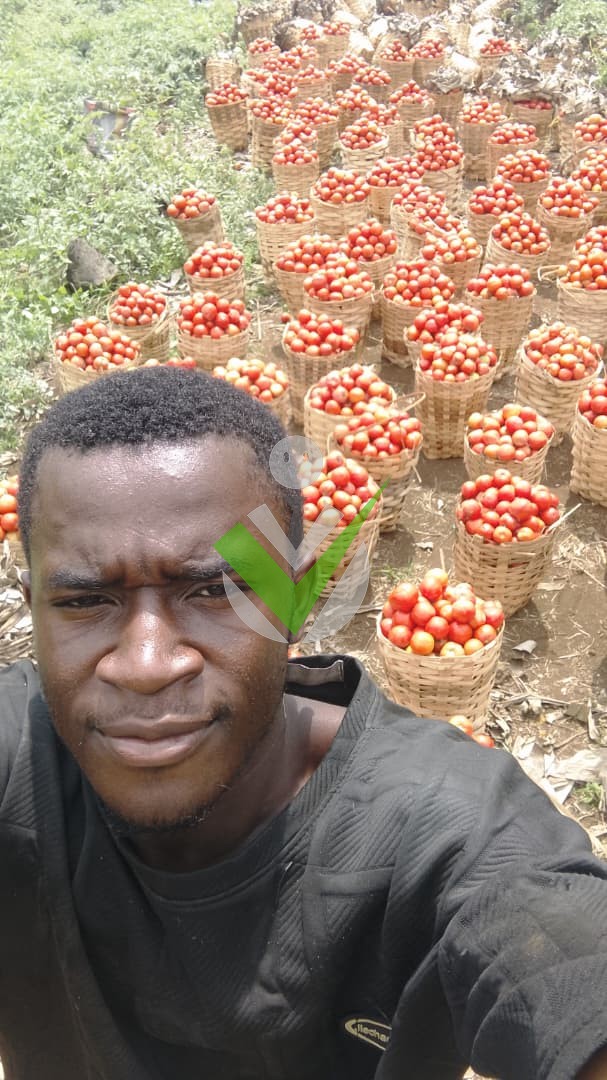 Ngoe Samuel