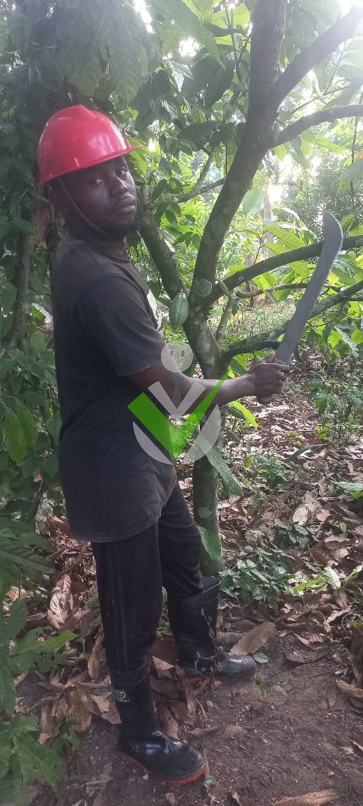 Joshua Itua mukako