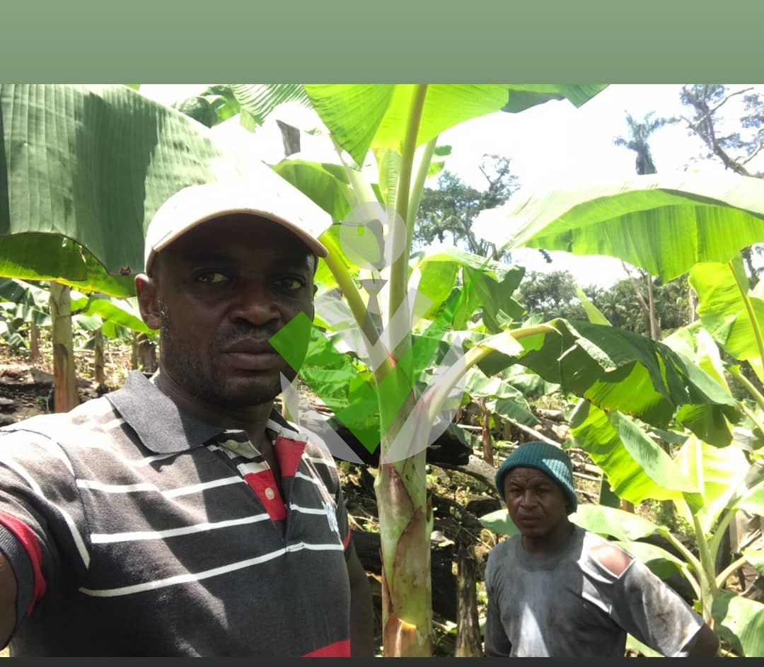 Charles Kamga Ngagom