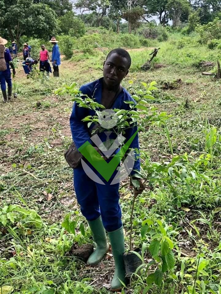 Eric Mbiadjeu