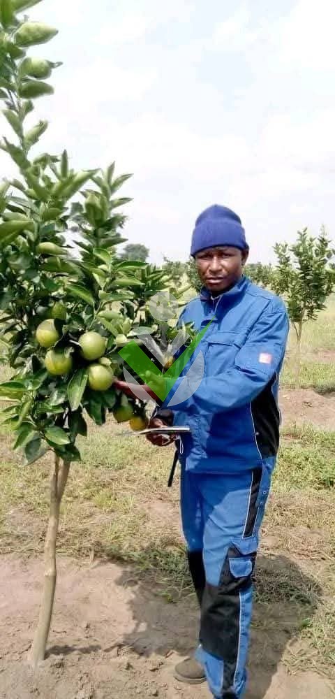 Fabrice Nyamsi