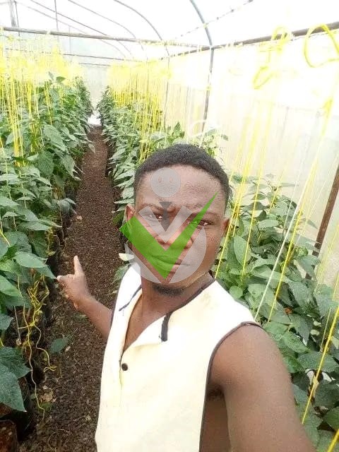 Emmanuel Tchongo
