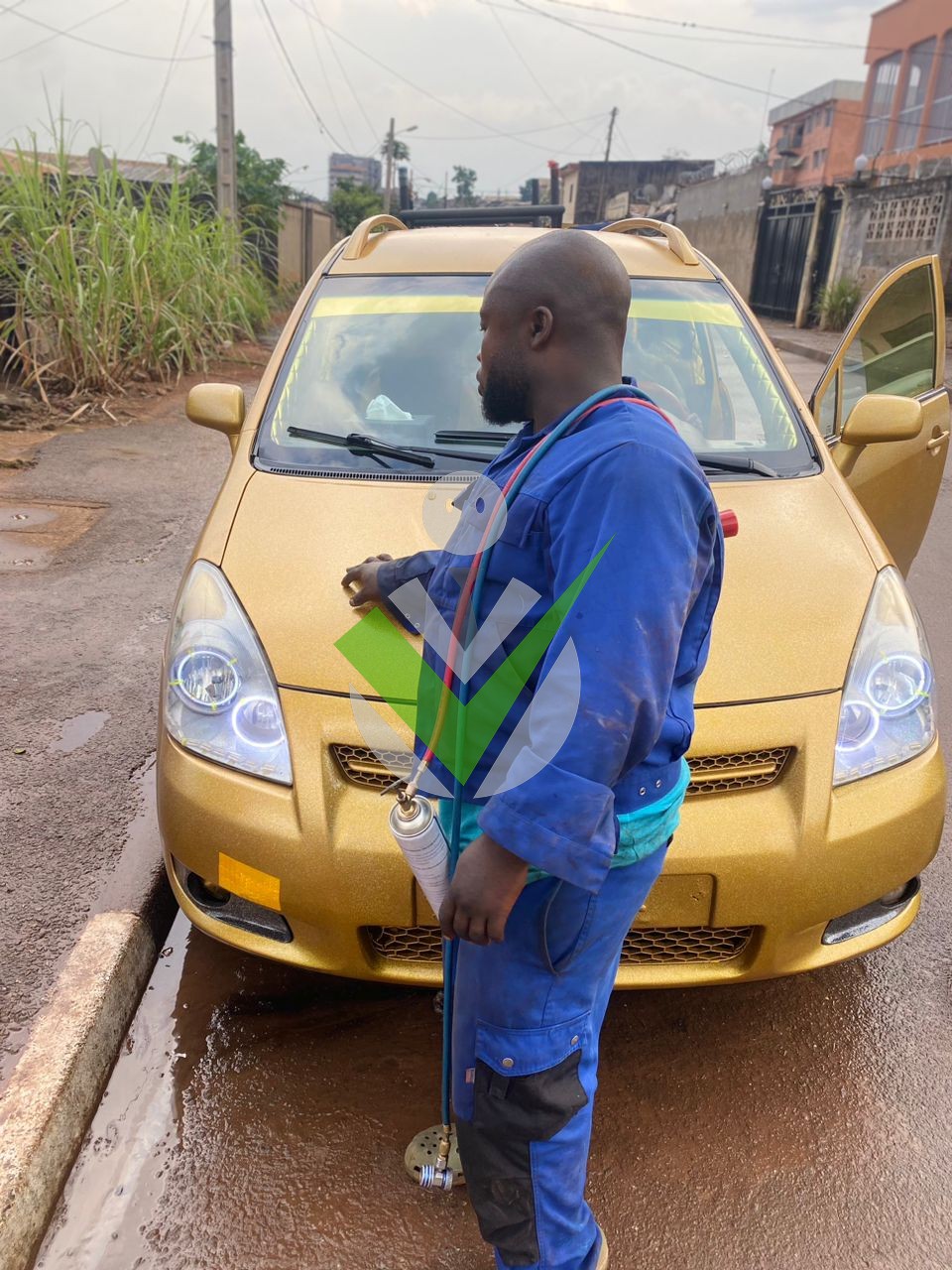 Yerima froid