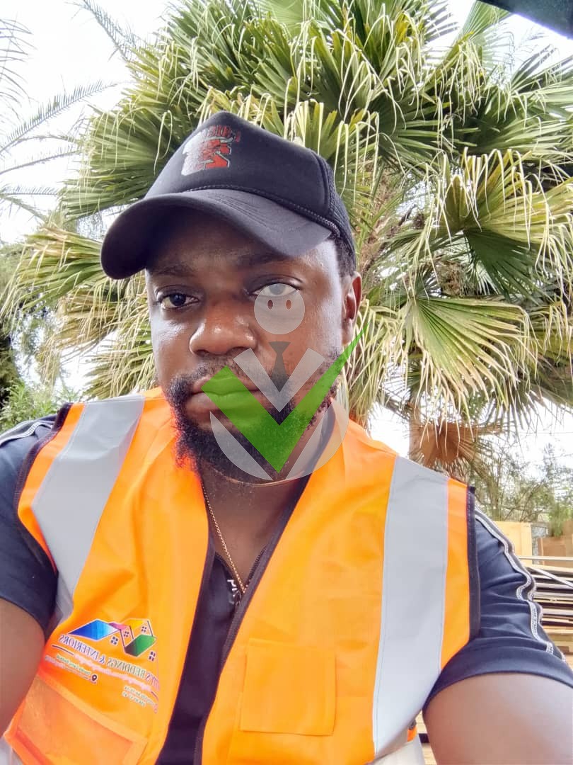 Denis Mabu