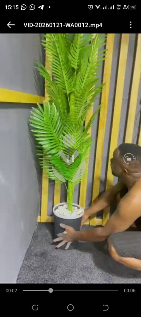 Jean ISSAMBA