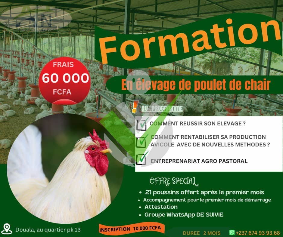 Dzeufouonadine