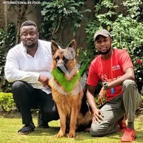 Doggie World International