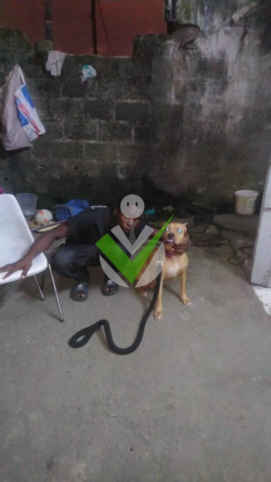 shadrack KIMBERLY