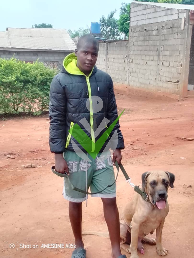 Anthony Aba'a Bitoutou