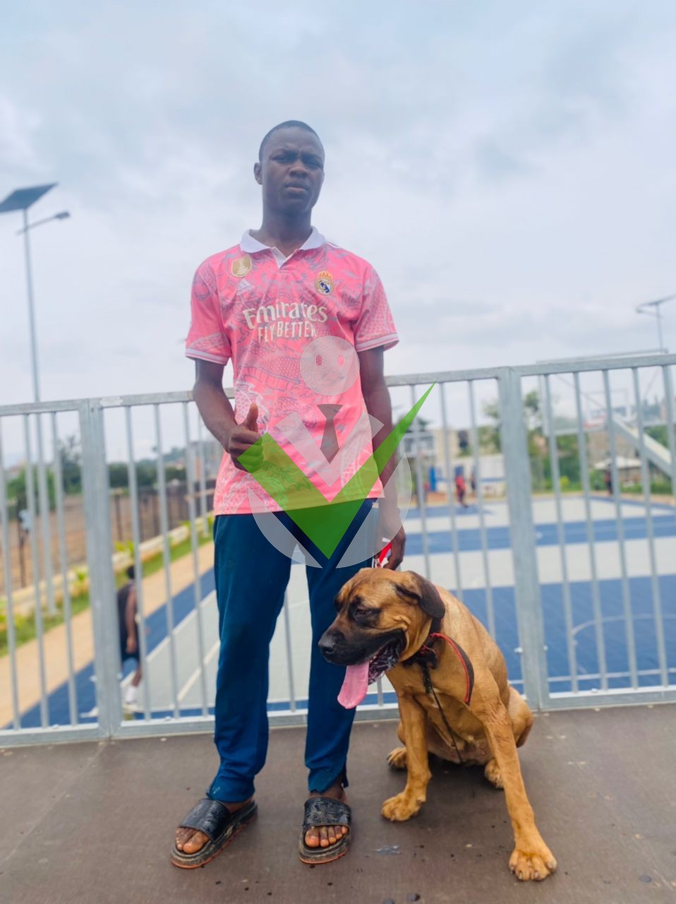 Wladimir dog