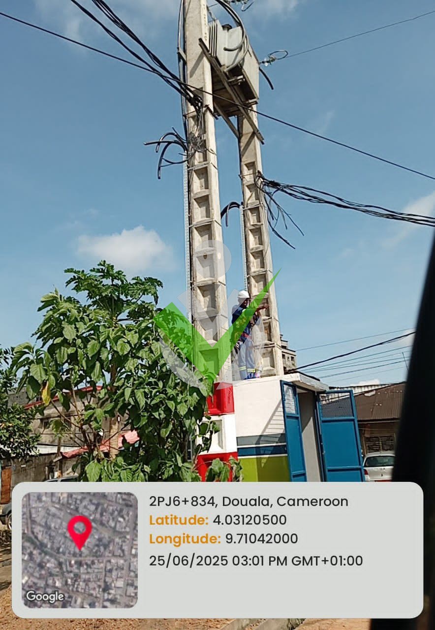 ebassa1 ebassa1