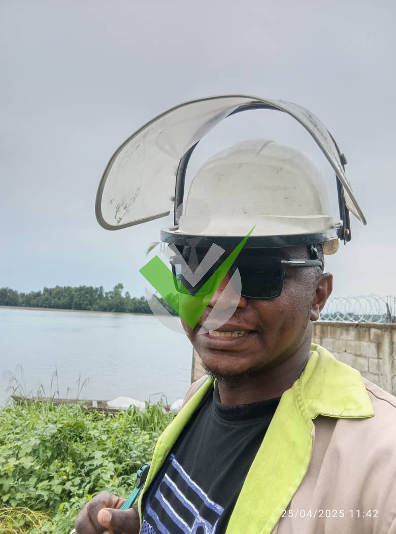VITALIS FENGYEP