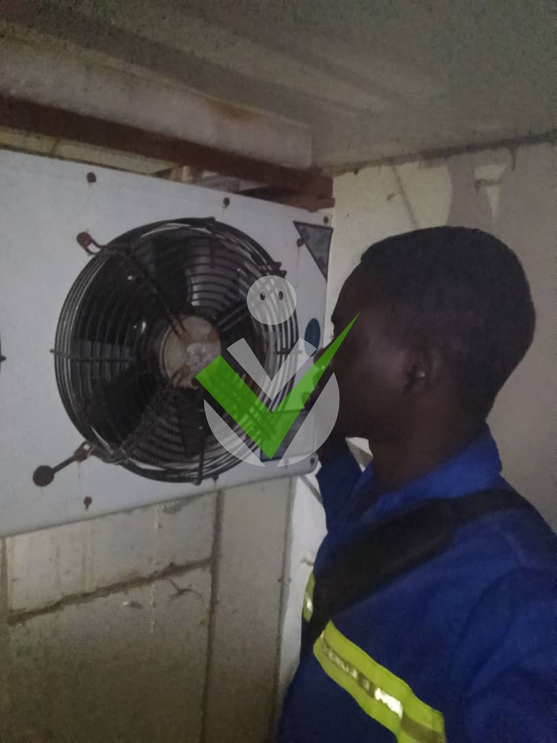 TAIWE LAMTOING