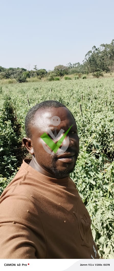 Vitalis Gima