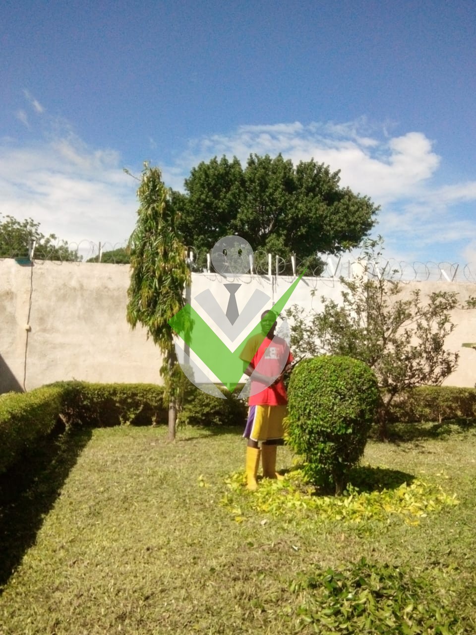 Adamou ABBA