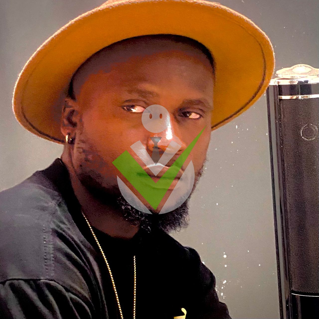 Vino Vino