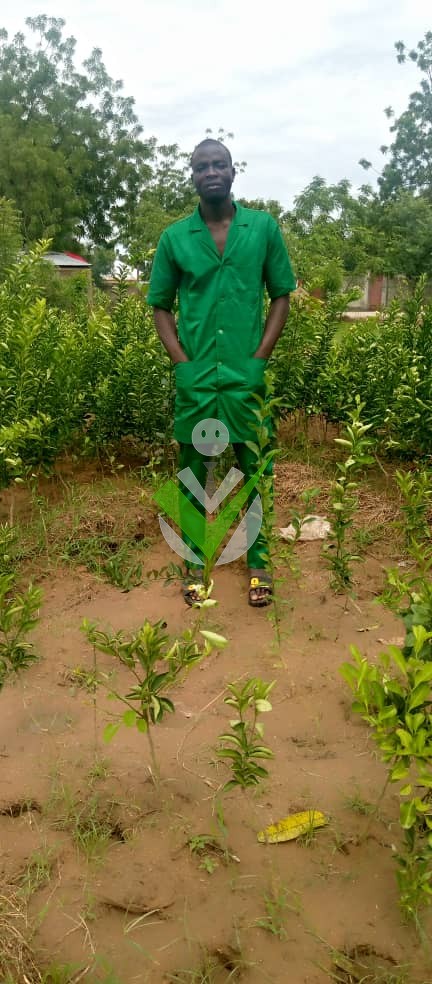 hammadou siddi