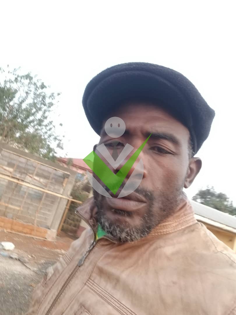 Guy Guy