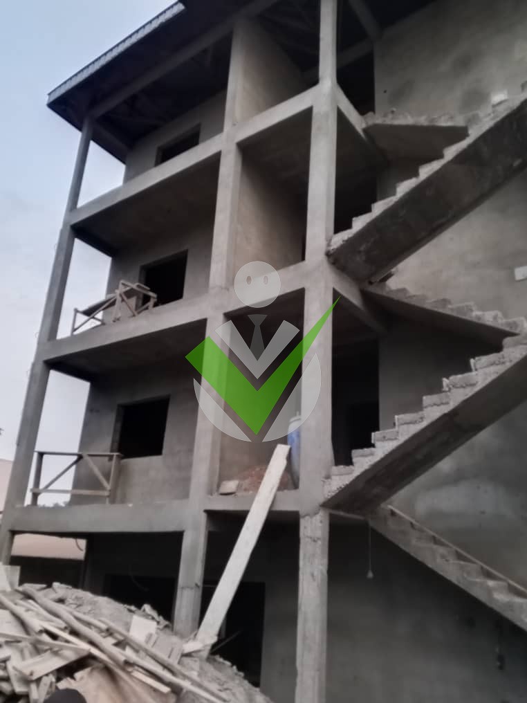 Tameu Tameu