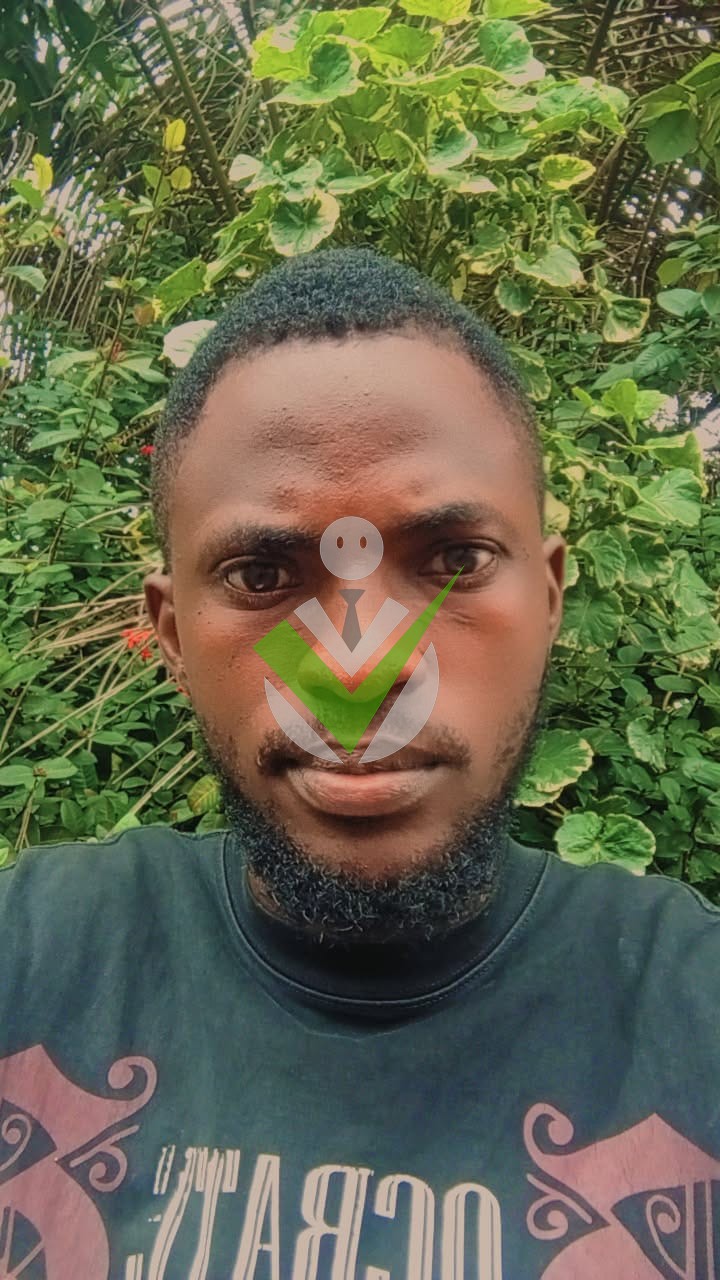 Ngwa Divine