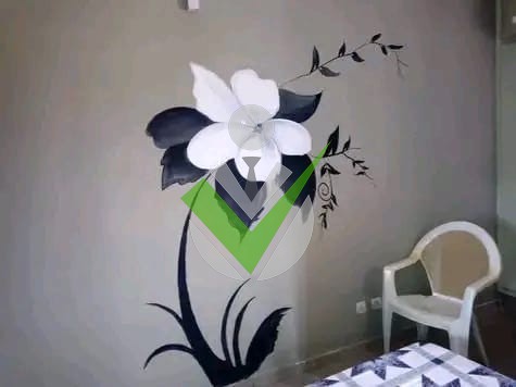 Hassana Hassana