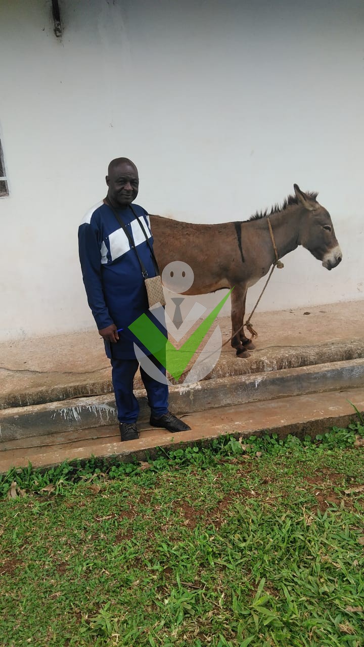 Nouaye Etienne