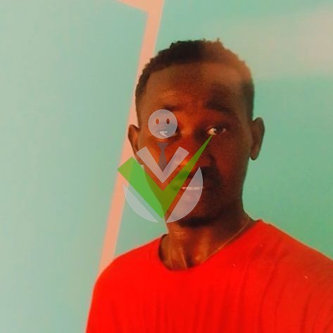Junior Nkoawo Lele