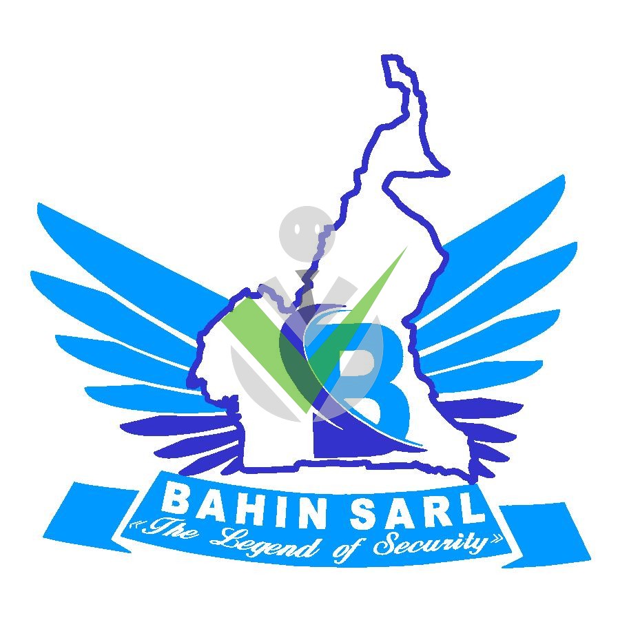 BAHIN Sarl
