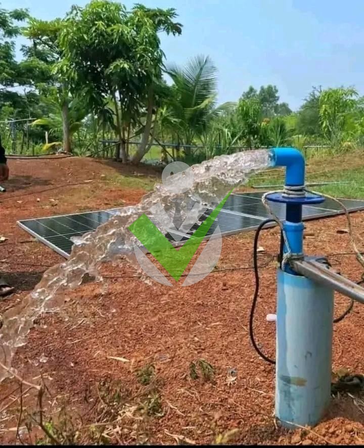 RPF water forages