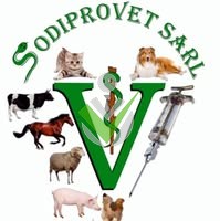 Sodiprovet SARL