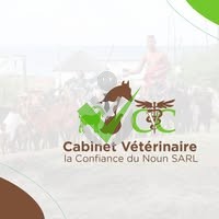 Cabinet vétérinaire La confiance du Noun