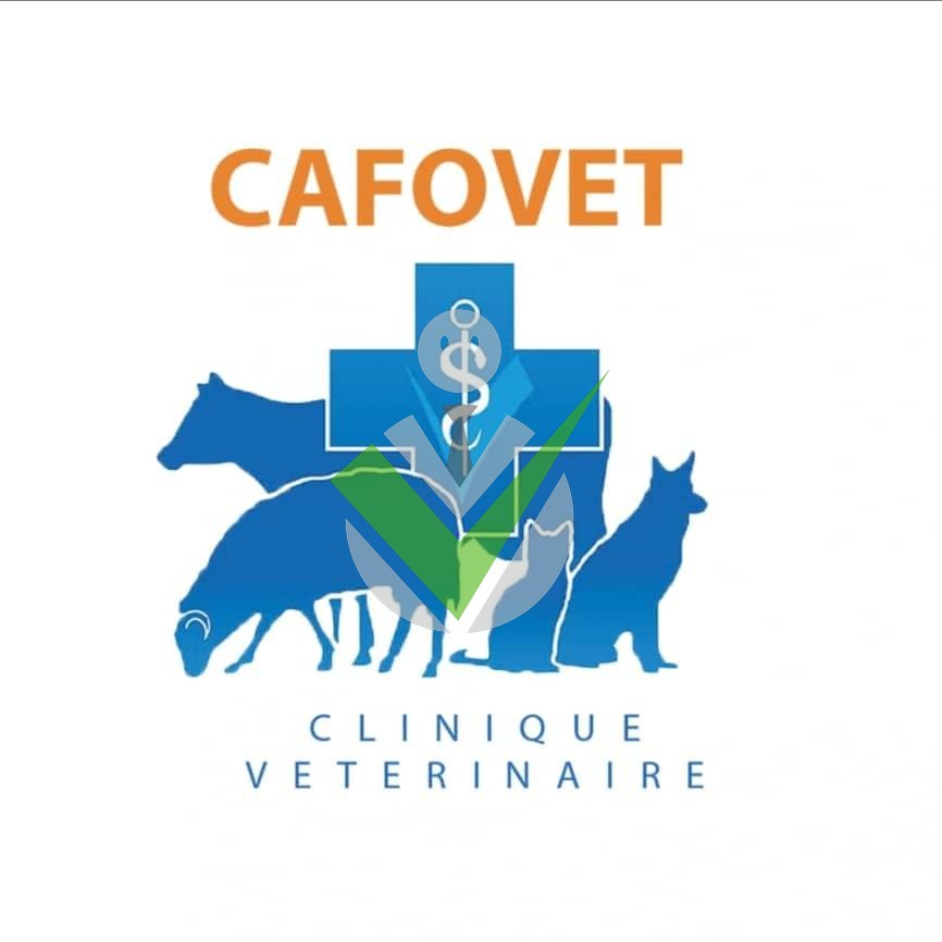 Clinique Vétérinaire Cafovet Clinique Vétérinaire Cafovet