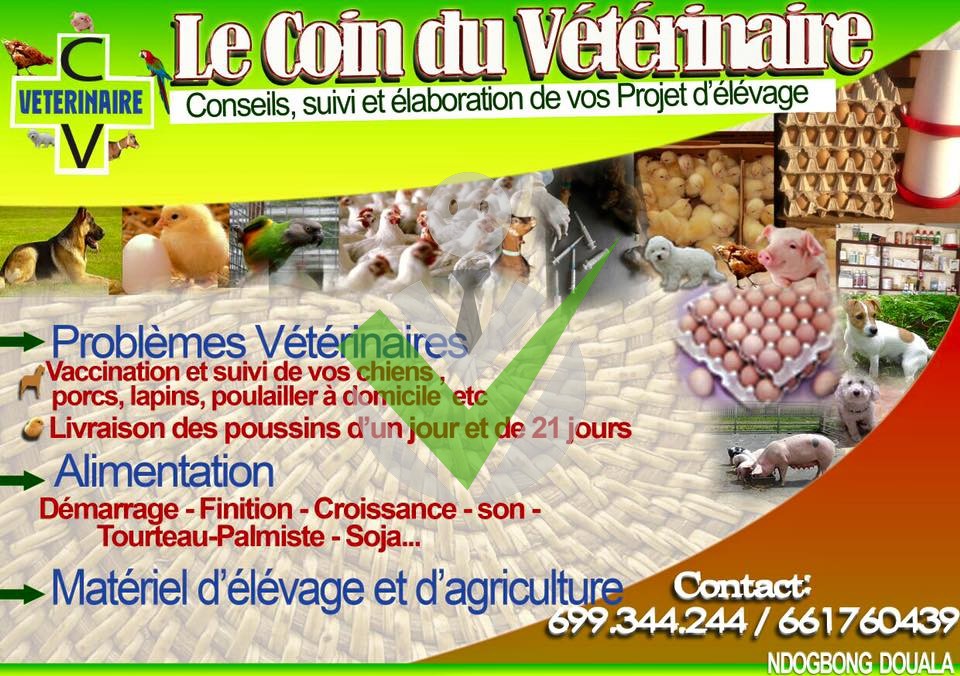 Le Coin du Veterinaire