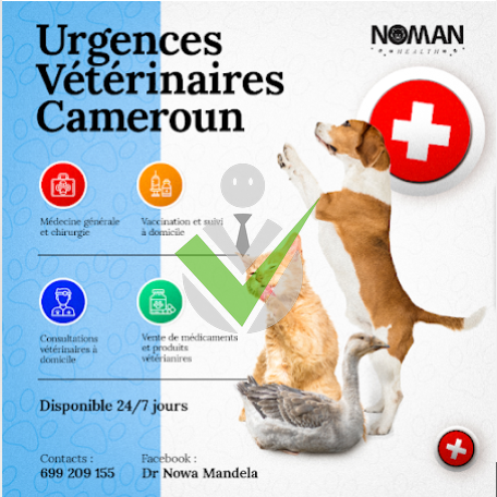 Urgence vétérinaire Yaoundé